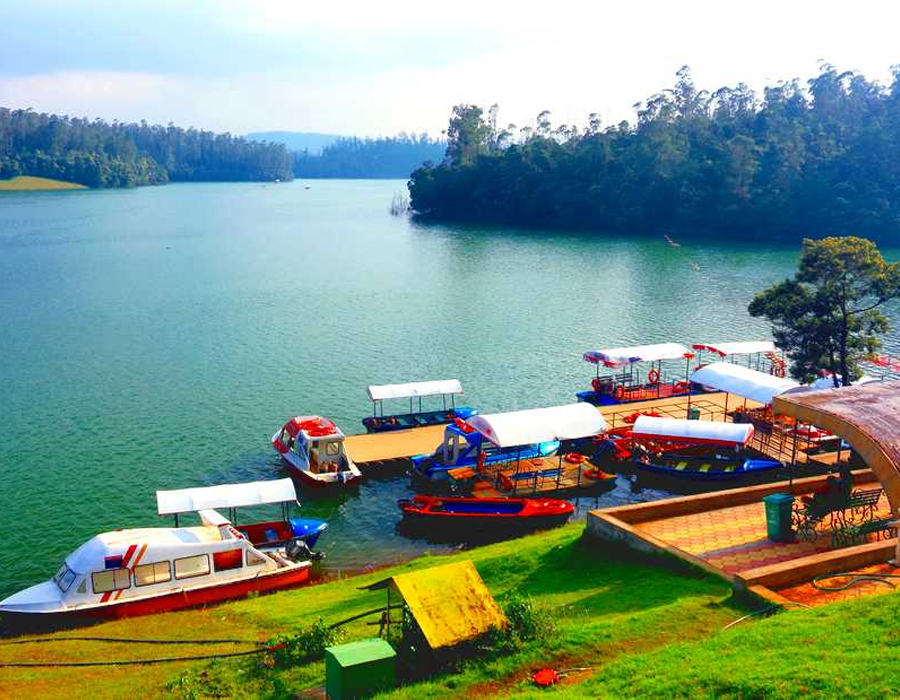 Ooty-1